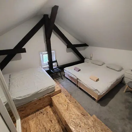 Pensionat Unique Vila Veselova, Center 4*